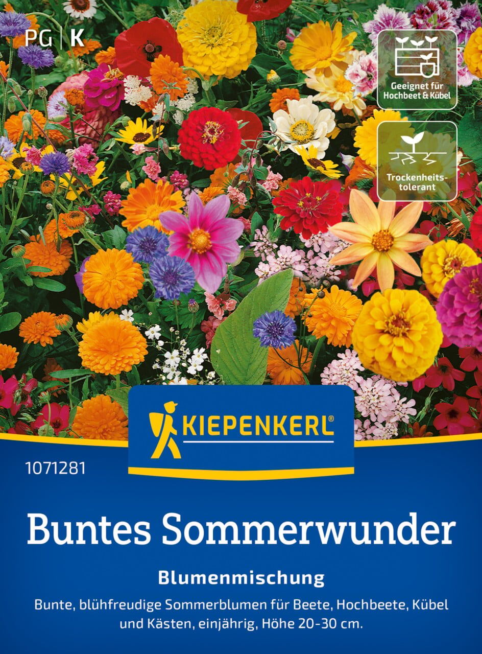 Kiepenkerl Blumensamen Buntes Sommerwunder für ca. 1 - 2 m²