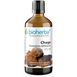 Chaga Inonotus obliquus Tropfen Tinktur 100 ml