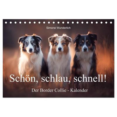Schön, schlau, schnell! - Der Border Collie - Kalender (Tischkalender 2026 DIN A5 quer), CALVENDO Monatskalender