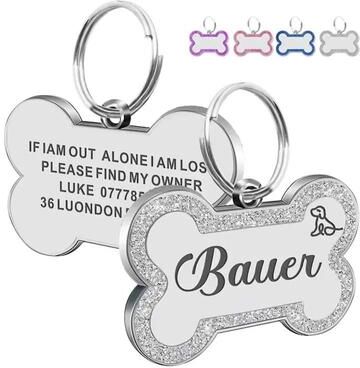 Uplifted Finds Double Sided Glitter Anti Lost Pet ID Tag silver s