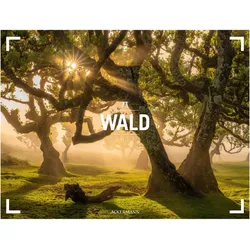 Ackermann, Kalender, Wald Gallery Kalender 2027 (Spezial)