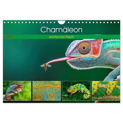 Chamäleon - exotisches Reptil (Wandkalender 2027 DIN A4 quer), CALVENDO Monatskalender