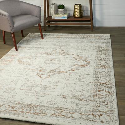 Balta Rugs Nafisa Distressed Medallion Area Rug