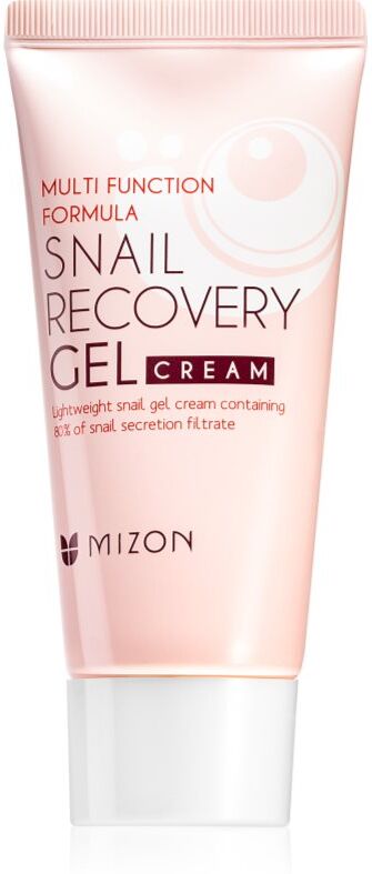Mizon Multi Function Formula Snail gel visage à l'extrait de bave d'escargot 45 ml