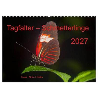 Tagfalter Schmetterlinge (Wandkalender 2027 DIN A2 quer), CALVENDO Monatskalender
