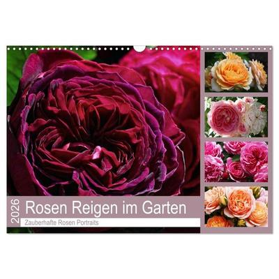Rosen Reigen im Garten (Wandkalender 2026 DIN A3 quer), CALVENDO Monatskalender
