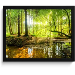 POSTER MIT RAHMEN Wald - Landschaft - Wasser - Bäume - Sonne - Grün - Natur 40x30 cm
