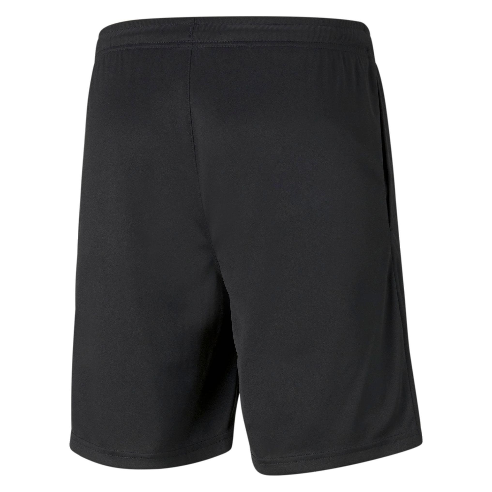Puma teamRISE Training Shorts-657336 (L) (657336_03)