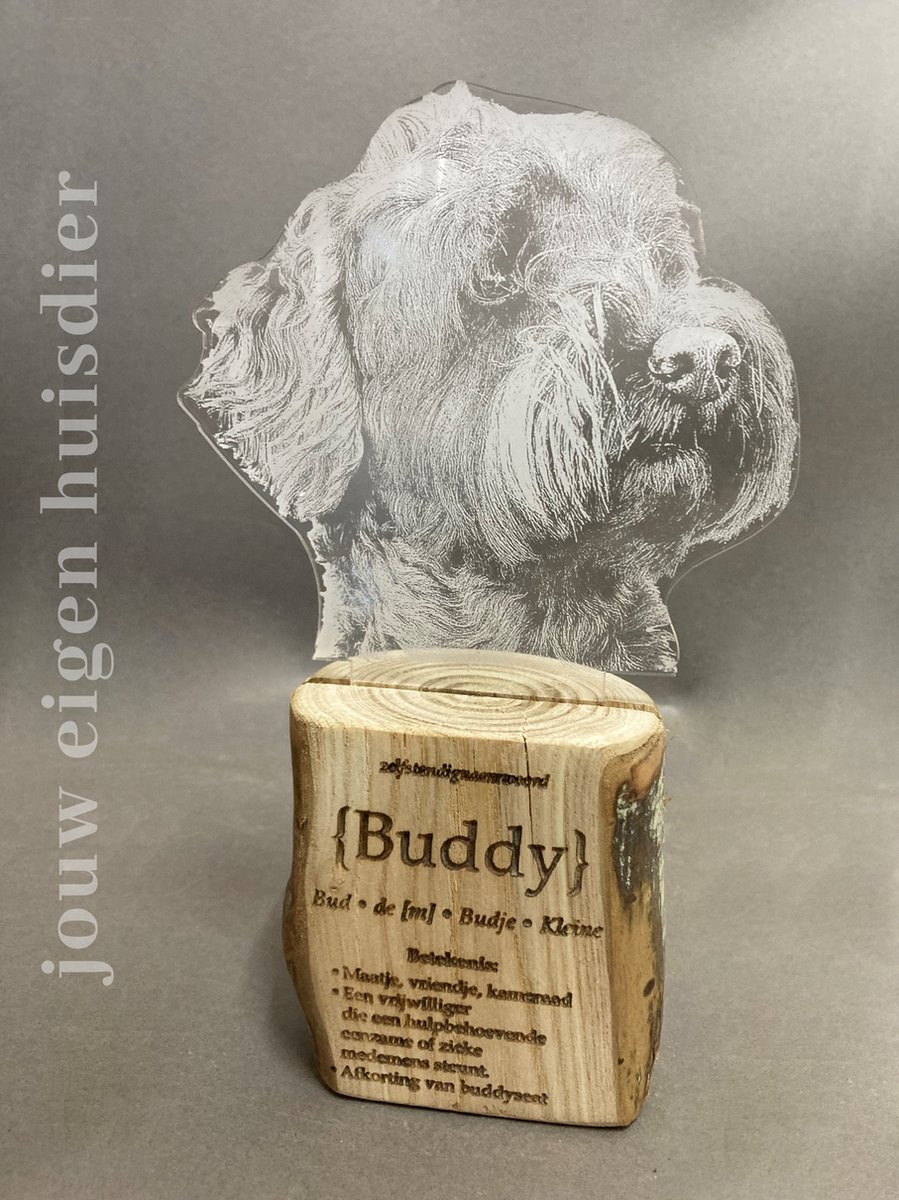 SandD-art Gedenkteken hond - Persoonlijke huisdiervoetfoto op plexiglas - 15 x 23 cm