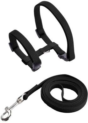 Uplift Picks Adjustable Sphynx Cat Harness And Leash Set For Comfortable Outdoor Walking And Training black within 4kg