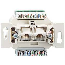 Rutenbeck Netzwerkdose Unterputz Einsatz CAT 6a 13410405