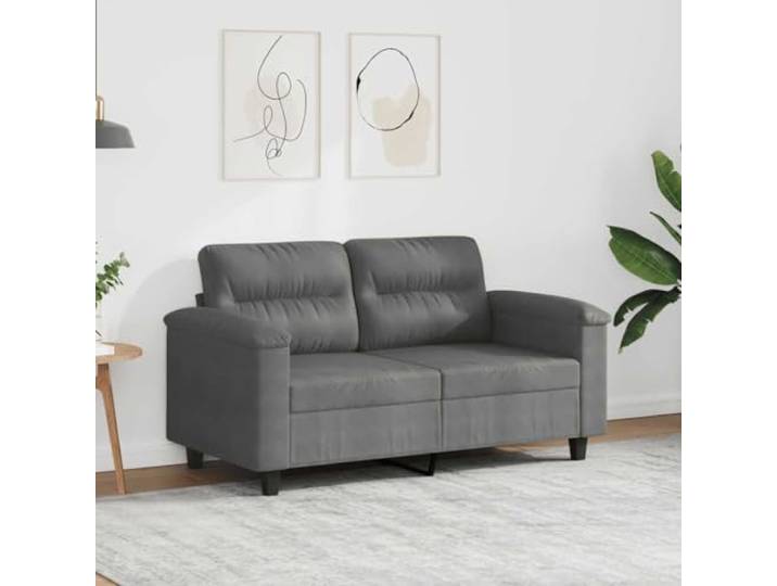 HEFZGDB 2-Sitzer Sofa Dunkelgrau 120 cm Mikrofasergewebe Modernes Design Langlebige Polsterung Bequeme Sitzflächen Stabiles Metallgestell Einfache Reinigung Fleckenunempfindlich