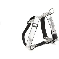 Alter Ego Italy Disco (M, Hund, Hundesport, Spazieren), Halsband + Leine