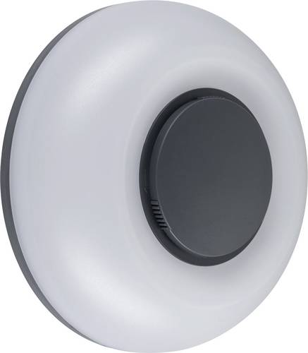 Paulmann 94955 LED-Außenwandleuchte LED 20.5W Anthrazit, Weiß
