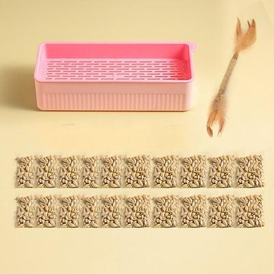 Neue hydroponische Katzengras-Box, Katzensnack, Katzenminze, hydroponische erdlose Bepflanzung, Katzengras-Topf-Set, Katzengras-Box