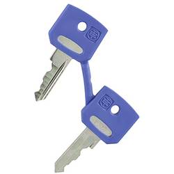 Schneider Electric ZBGF046 Ersatzschlüssel (Ø) 22 mm 1 St. Piece