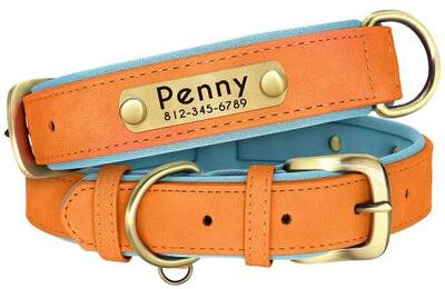 Inspired Living Personalized Padded Leather Dog Collar With Engraved Nameplate orange xl