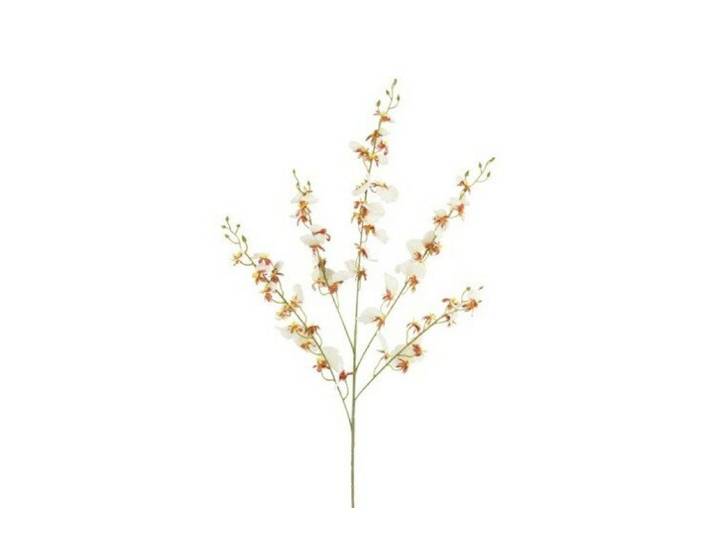 Countryfield zijden bloem Phalaenopsis 90 cm crème
