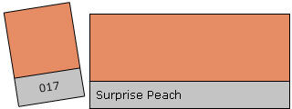 Lee Filter Roll 017 Surprise Peach Surprise Peach