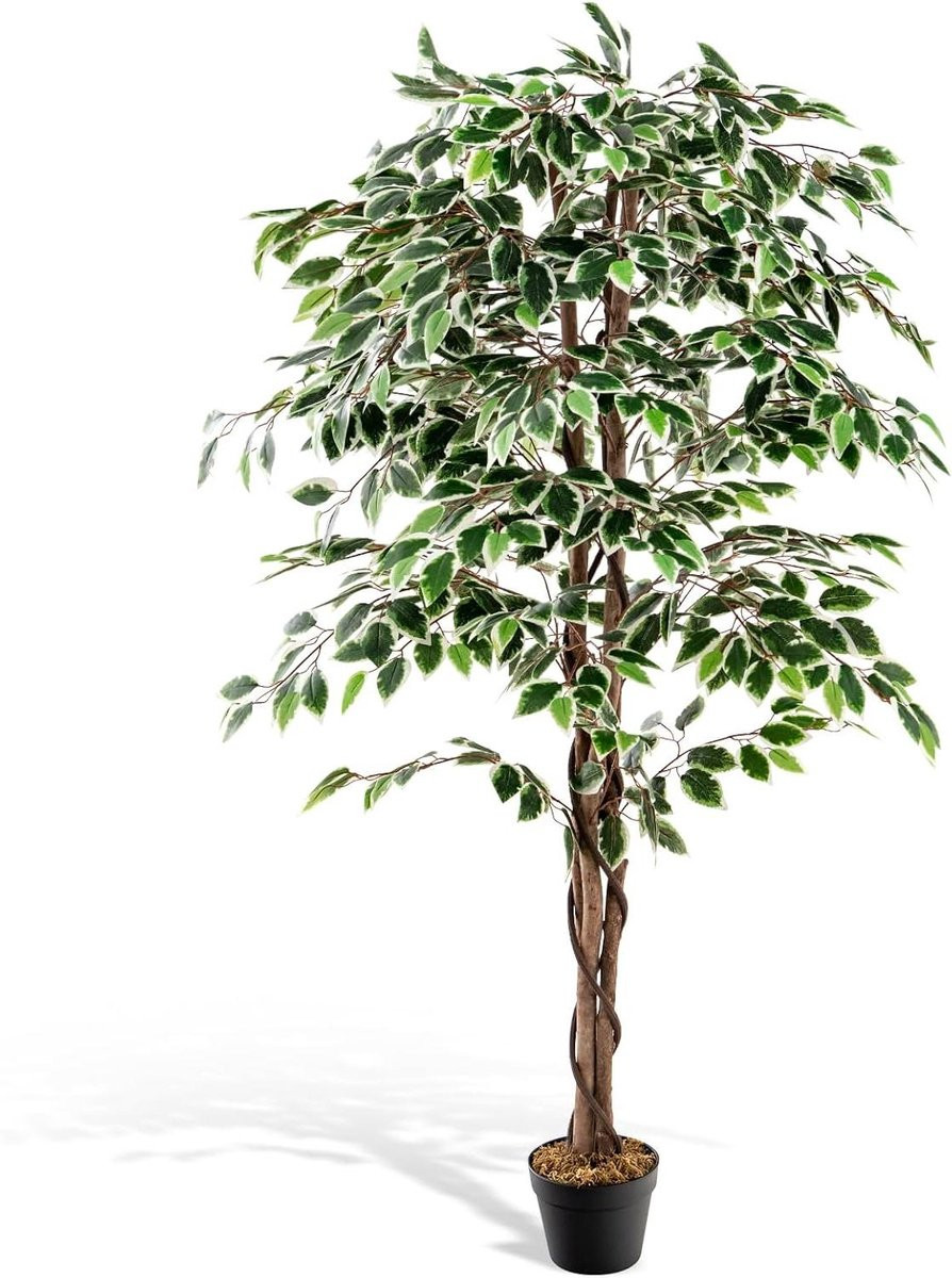Kunstplant Ficus Groen - Nepboom met Stabiele Cementvoet - Hoogte: 160 cm