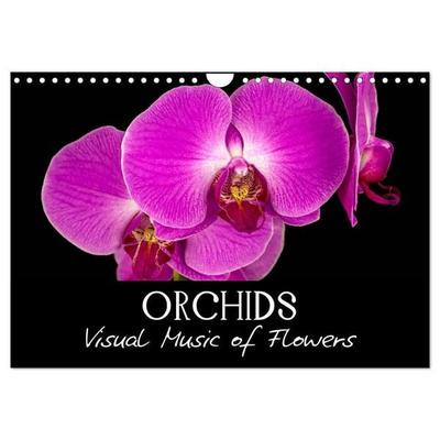 Orchids (Wall Calendar 2027 DIN A4 landscape), CALVENDO 12 Month Wall Calendar