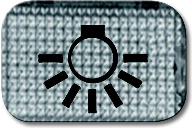 Busch-Jaeger Symbole de bouton-poussoir lumière 2145 LI (2CKA001714A0211)