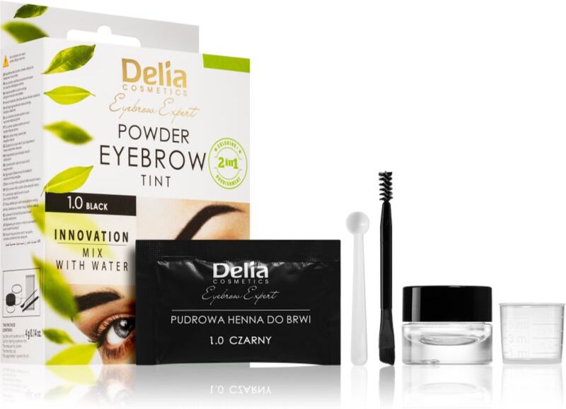 Delia Cosmetics Eyebrow Expert eyebrow tint shade 1.0 Black 4 g