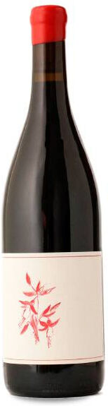 Arnot-Roberts Heaven and Earth Pinot Noir 2024 - 75cl
