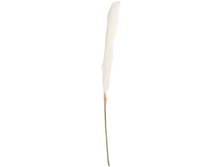 Pampas LIANA Beige