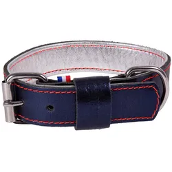 Martin Sellier Dakota (30, Hund, Spazieren), Halsband + Leine