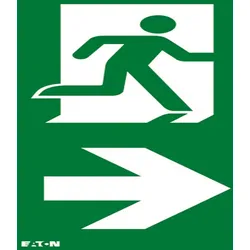 Ceag Notlichtsysteme Piktogramm LUM10594