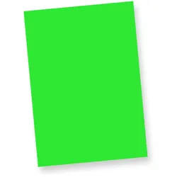 TATMOTIVE Neonpapier NEON Grün 250 Blatt DIN A4 80 g/qm farbiges Briefpapier, Leuchtpapier