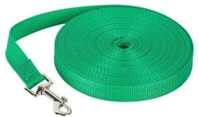 Uplifted Finds Vista Lead Ultra Long Nylon Training Leash green 1.8m