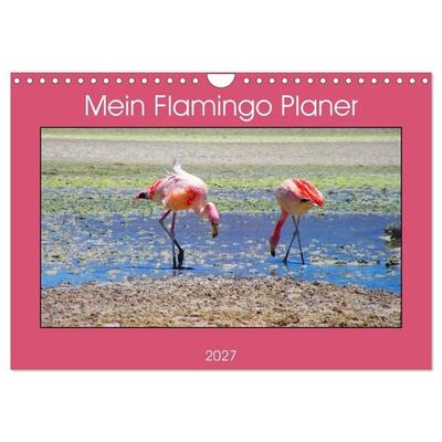 Mein Flamingo Planer (Wandkalender 2027 DIN A4 quer), CALVENDO Monatskalender