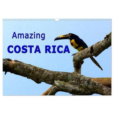 Amazing Costa Rica (Wall Calendar 2027 DIN A3 landscape), CALVENDO 12 Month Wall Calendar