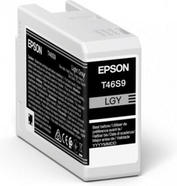 Epson T46S9 - Hellgrau - Druckerpatrone
