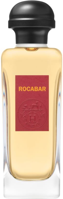 HERMÈS Rocabar Eau de Toilette pour homme 100 ml