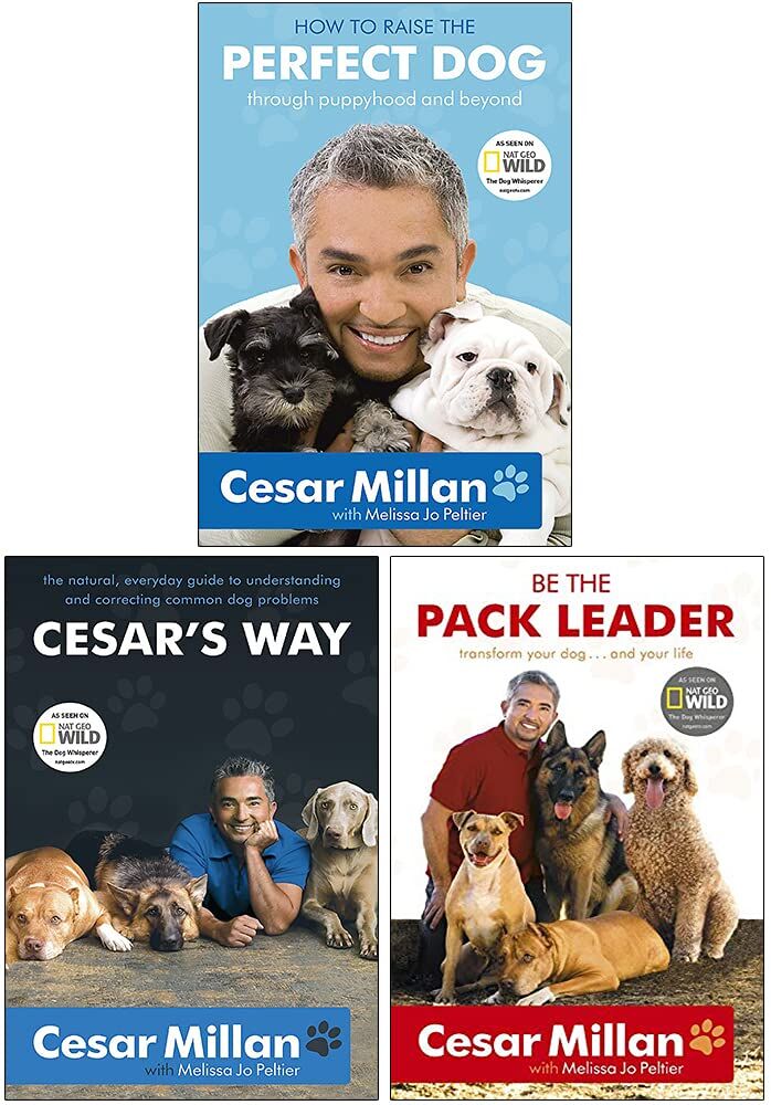 Hodder & Stoughton Cesar Millan 3 Books Collection Set - How to Raise the Perfect Dog, Cesar's Way & Be the Pack Leader - Paperback Dog Training Non Fiction Book Set