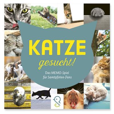 Katze gesucht!