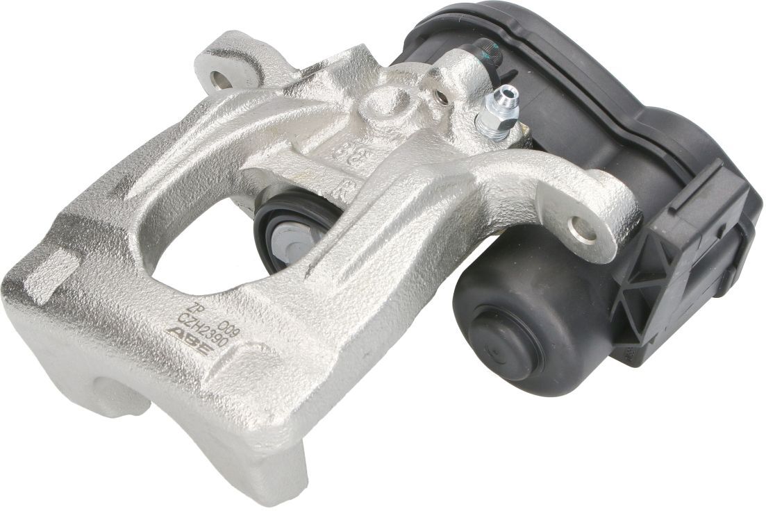 Jarrusatula Abe Czh2390