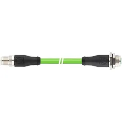 Lapp 2172374 RJ45 Netzwerkkabel, Patchkabel 3 m 1 St. (3 m), Netzwerkkabel