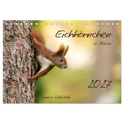 Eichhörnchen in Berlin (Tischkalender 2027 DIN A5 quer), CALVENDO Monatskalender
