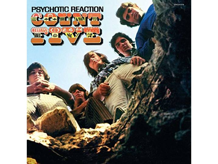 Psychotic Reaction