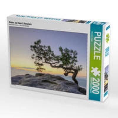 CALVENDO Puzzle Kiefer auf dem Lilienstein | 2000 Teile Lege-Größe 90 × 67 cm Foto-Puzzle für glückliche Stunden