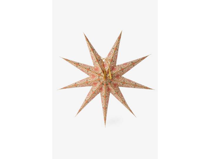 Witte kerstster met LED-licht medium