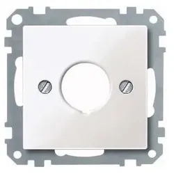 Merten Zentralplatte pws/gl 393819