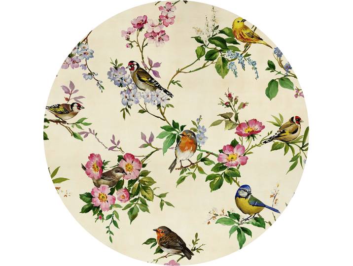 Fototapete KOMAR Vlies selbstklebend - Bird Party - Grösse 125 x 125 cm , bunt, B:125m L:125m, Vlies, Tapeten, Fototapete, Wohnzimmer, Schlafzimmer