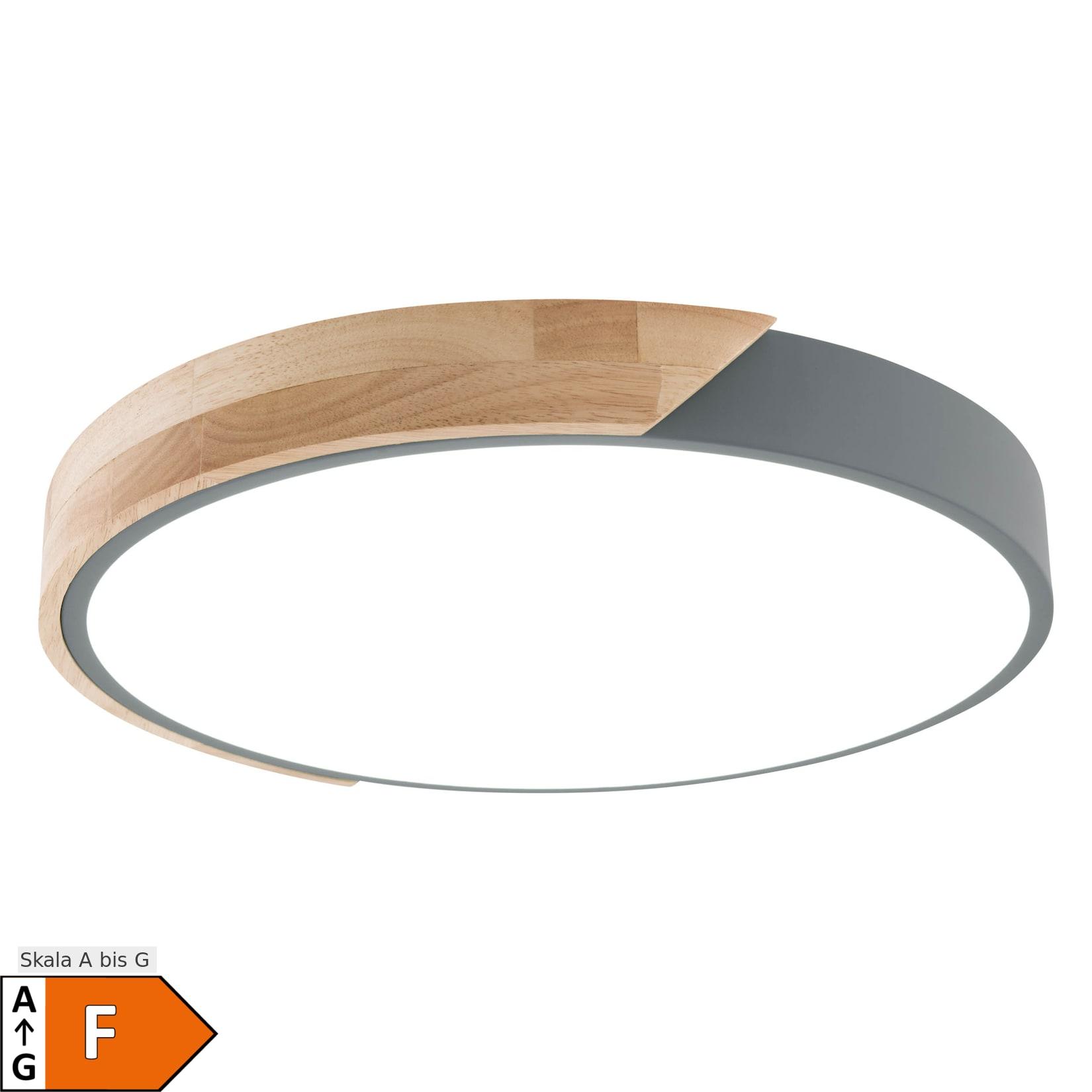 Näve LED / CCT Deckenleuchte "BORNEO" L: 52cm