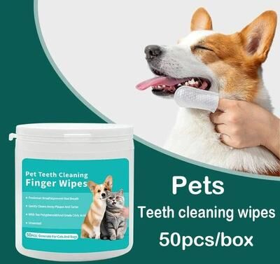 Uplift Essentials Fresh Breath Dental Care Disposable Finger Wipes (50 Count) Fresh Breath Dental Care Disposable Finger Wipes (50 Count)