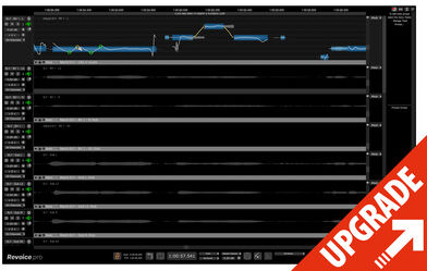 Synchro Arts Revoice Pro 5 UG Revoice Pro 4